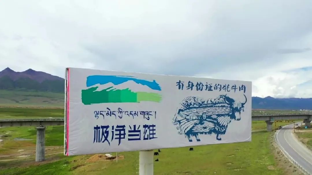 KAIYUN数字遗产管理新闻