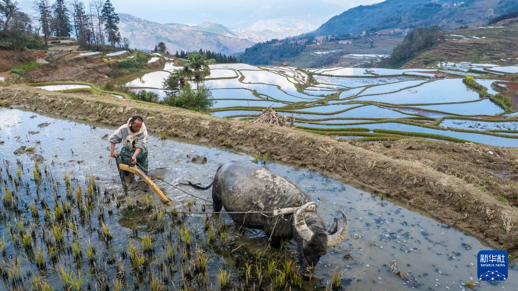 智绘中国·世遗镜鉴｜红河哈尼梯田续写农耕文明新传奇_新华网(图1)