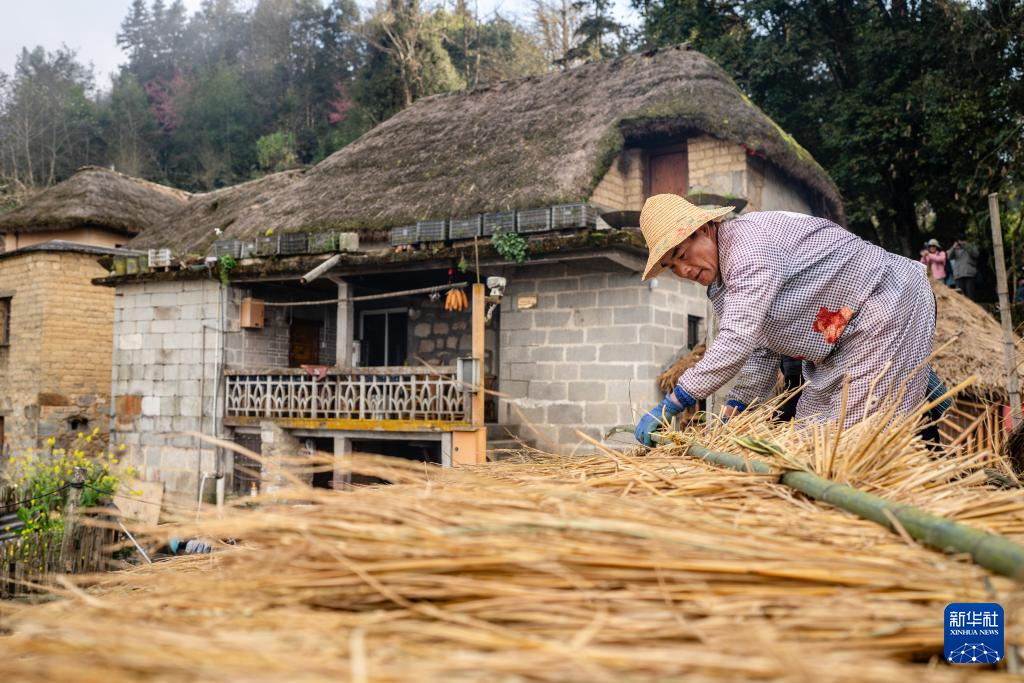 智绘中国·世遗镜鉴｜红河哈尼梯田续写农耕文明新传奇_新华网(图9)