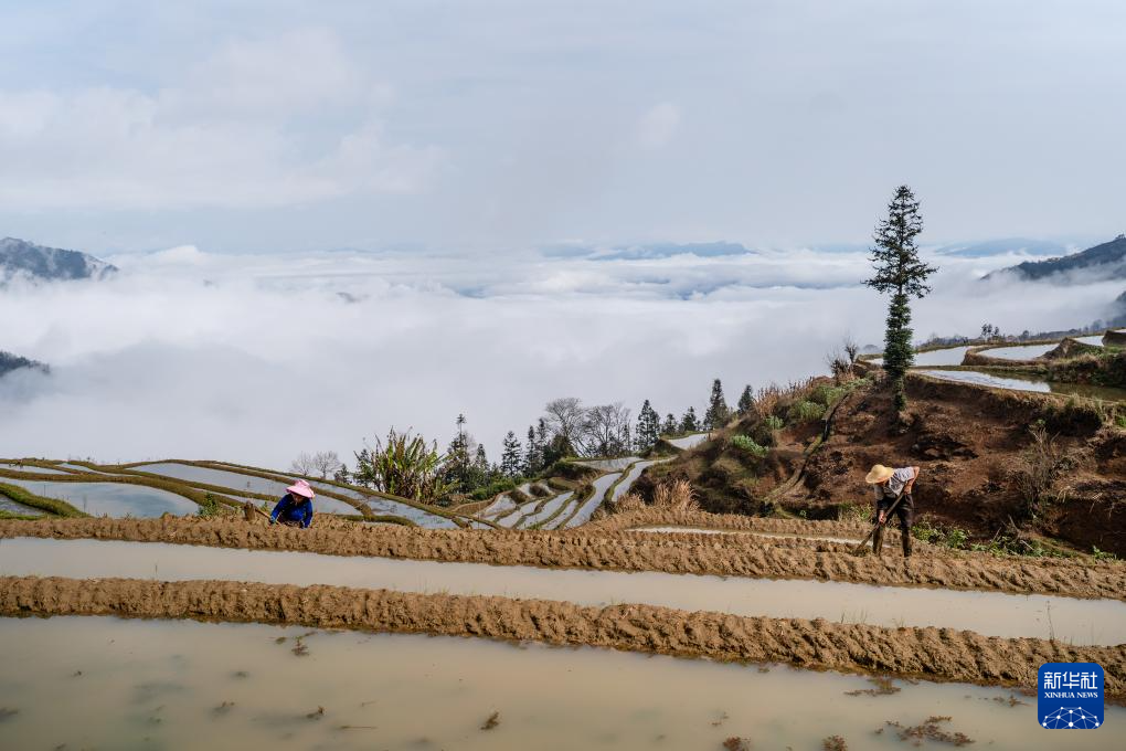 智绘中国·世遗镜鉴｜红河哈尼梯田续写农耕文明新传奇_新华网(图15)