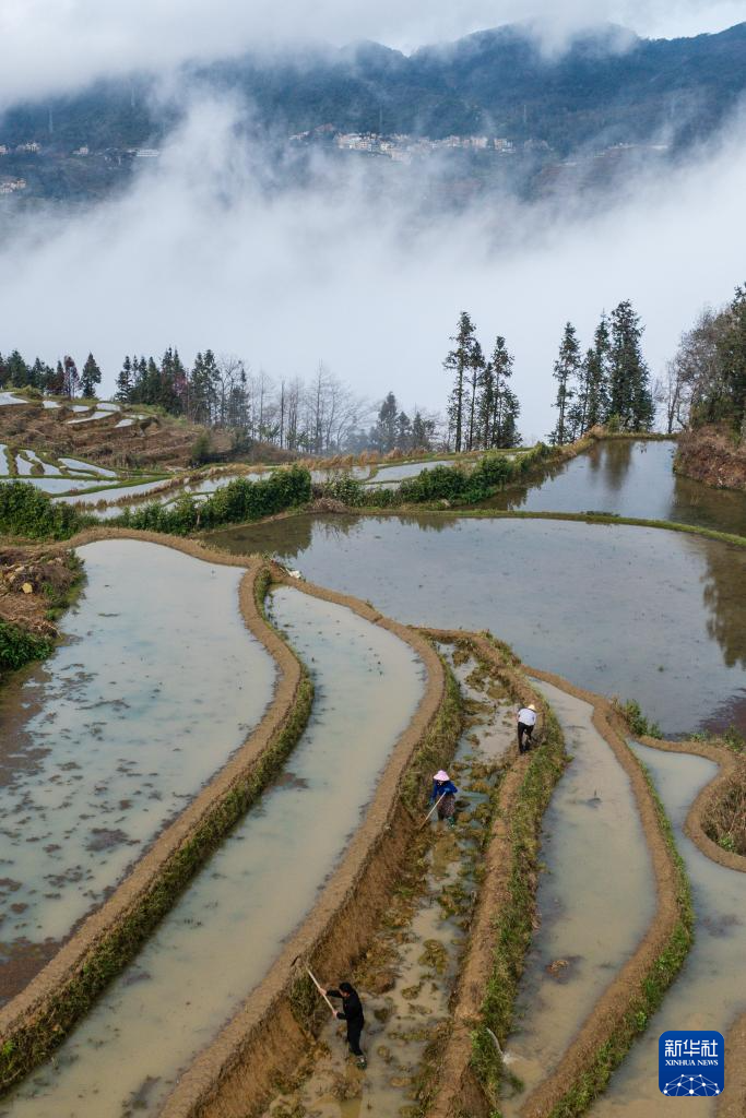 智绘中国·世遗镜鉴｜红河哈尼梯田续写农耕文明新传奇_新华网(图14)
