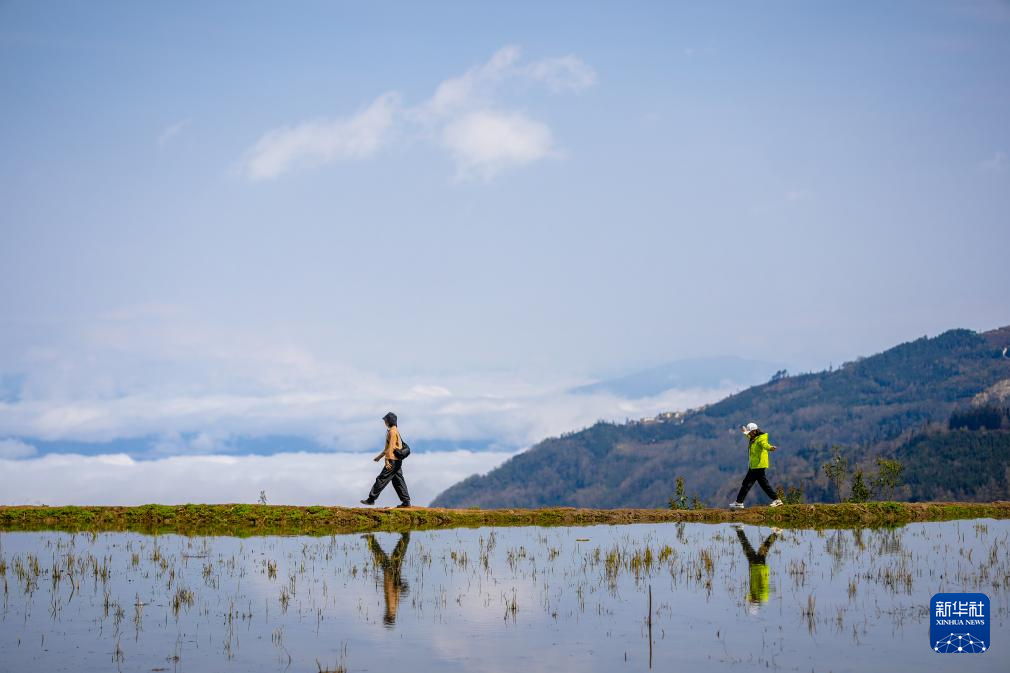 智绘中国·世遗镜鉴｜红河哈尼梯田续写农耕文明新传奇_新华网(图16)