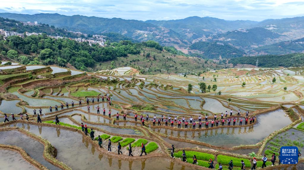 智绘中国·世遗镜鉴｜红河哈尼梯田续写农耕文明新传奇_新华网(图22)