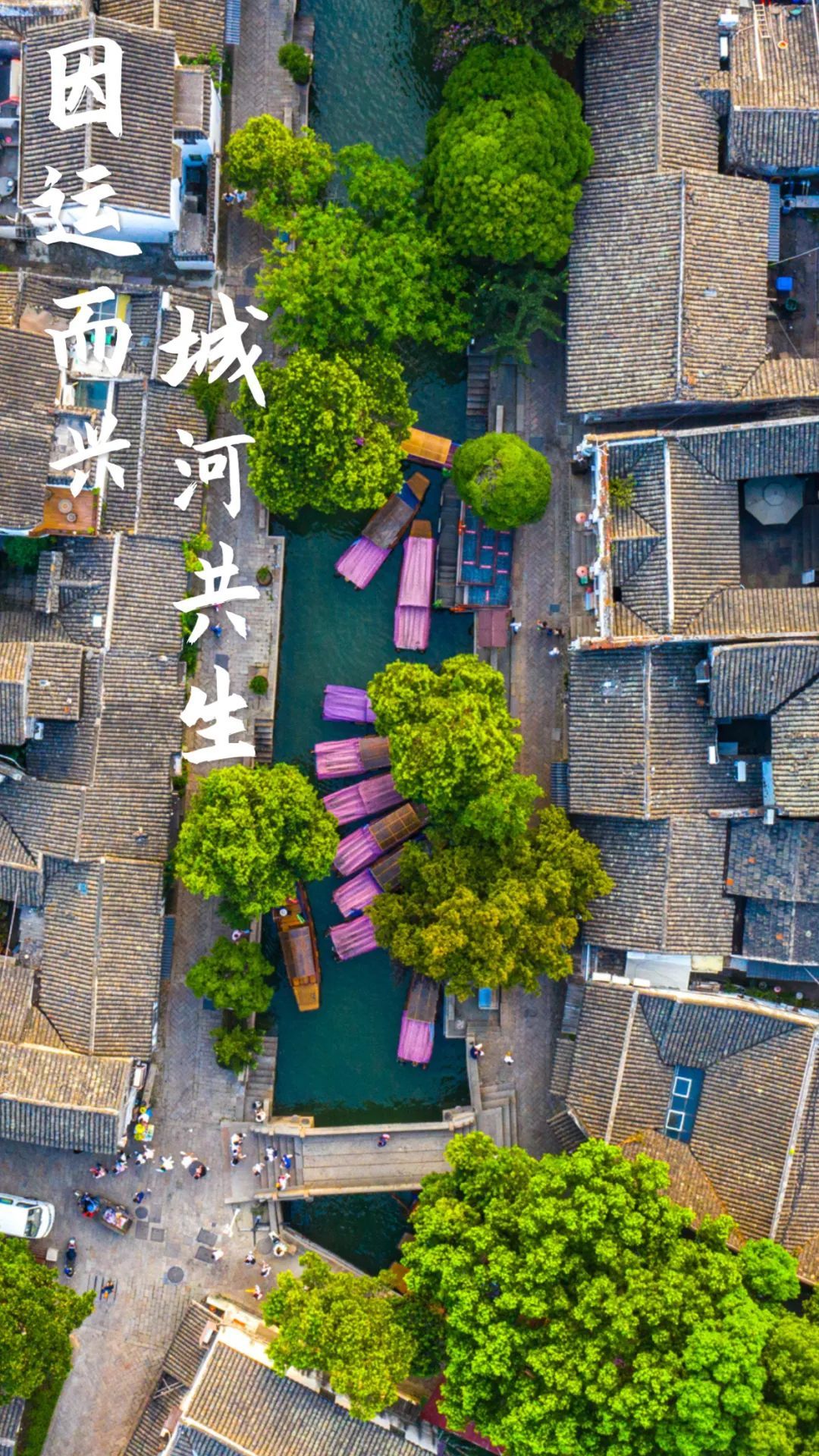因运而兴城河共生：苏州与大运河的“双向奔赴”(图1)