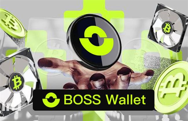 热门币种加密市场BOSSWallet以安全防护筑资产铜墙铁壁(图2)