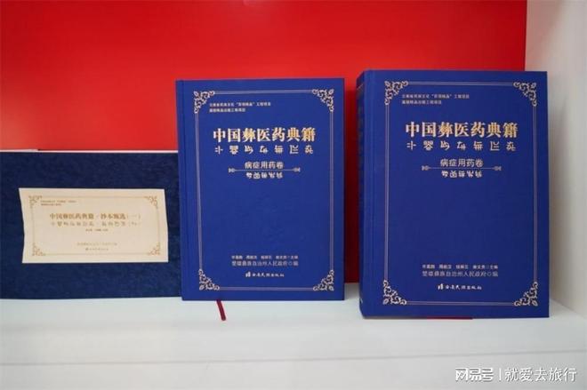 楚雄州非遗保护传承成效显著传统文化焕发新时代活力(图10)