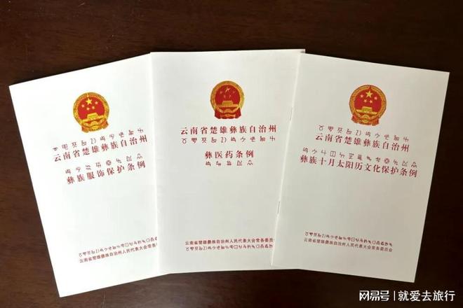 楚雄州非遗保护传承成效显著传统文化焕发新时代活力(图5)