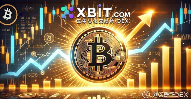 加密货币钱包保障数字资产安全 XBIT Wallet引领行业创新(图3)
