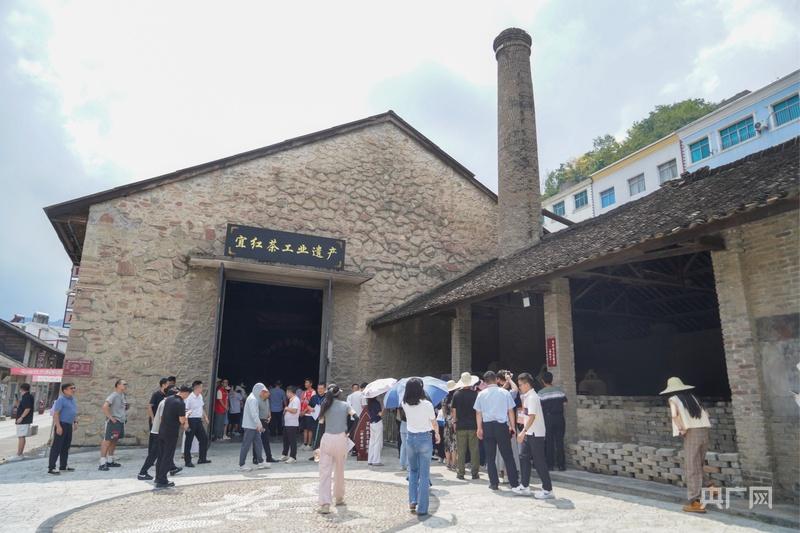 活力中国调研行｜从 “卖茶叶” 到 “卖体验” 一片绿叶的增值之道(图6)