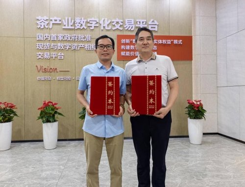 小红蕉平台数字资产转型告捷 树立贵茶数权数字化标杆(图1)