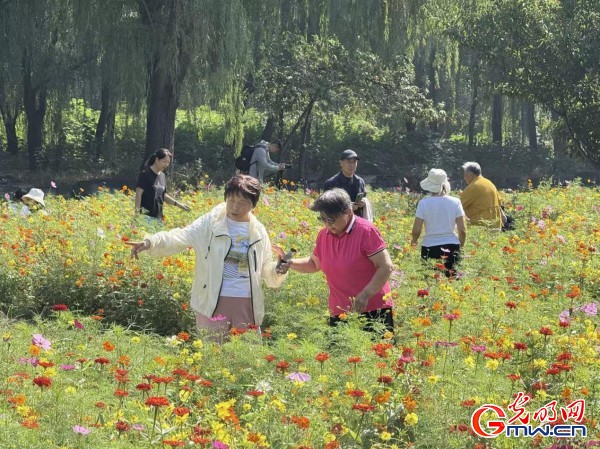 数字化技术再现圆明园昔日辉煌盛景(图4)
