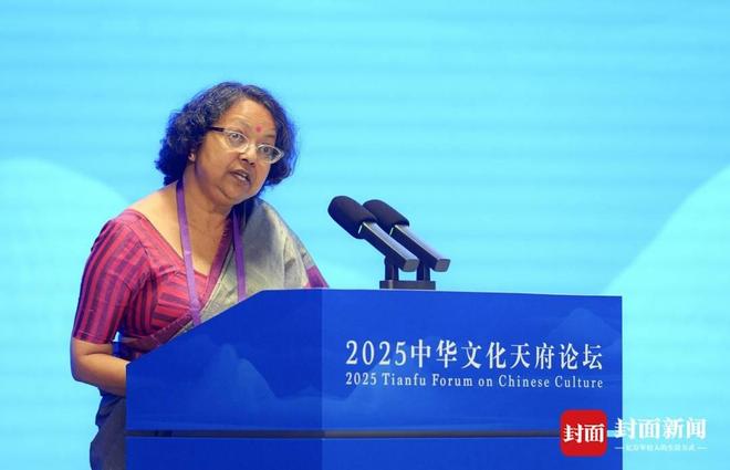 海内外专家共探文化遗产保护新路径2025中华文化天府论坛成都开幕(图6)