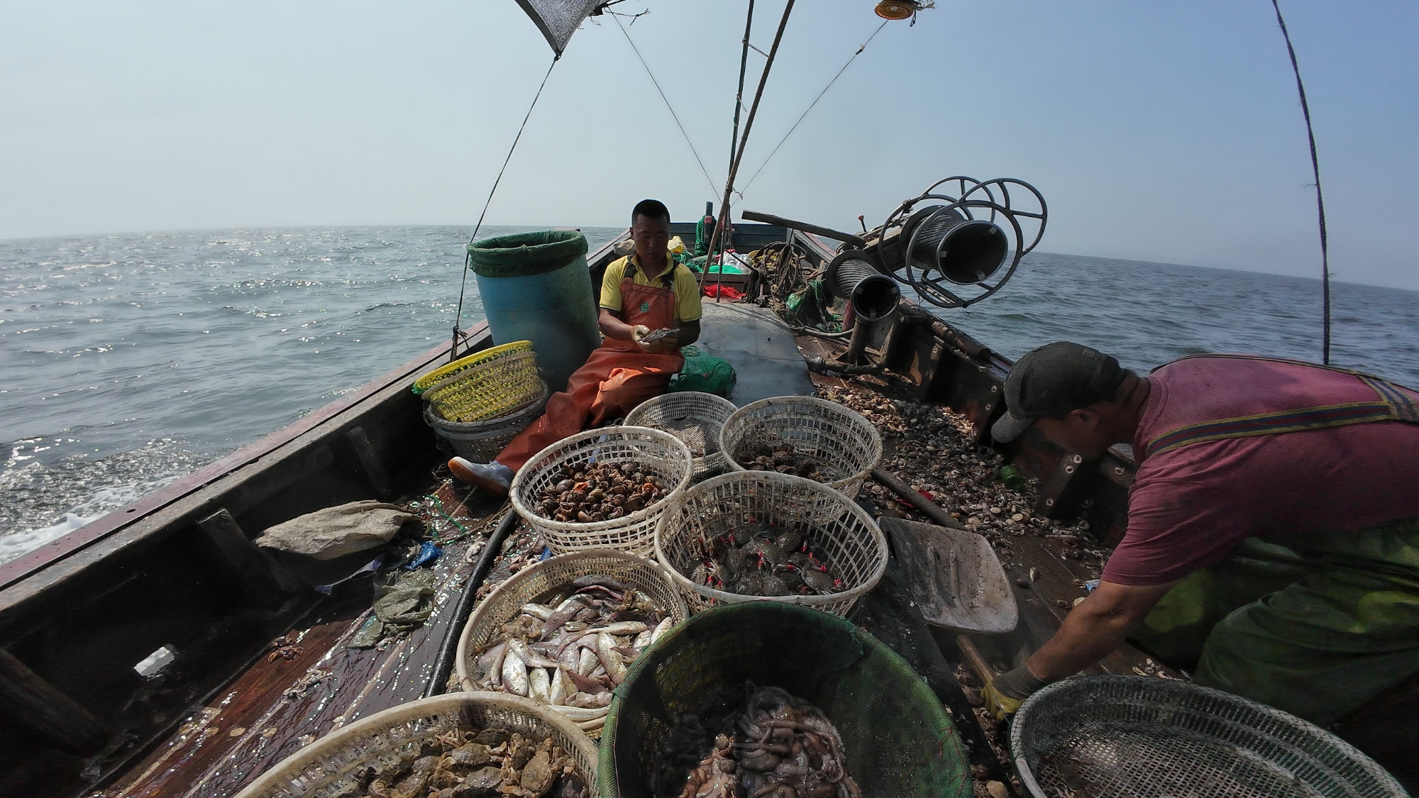 行进的海岸线 大鹿岛兴岛富民记：失而复得的“山不转水转”(图4)