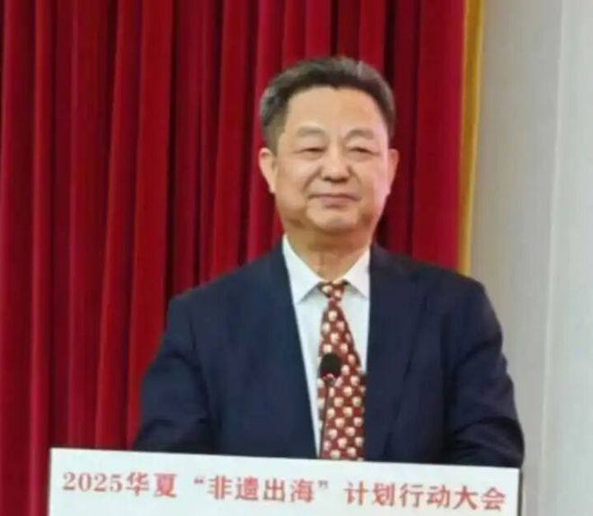 2025华夏“非遗出海”计划行动大会成功举行(图2)