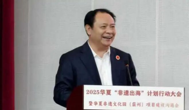 2025华夏“非遗出海”计划行动大会成功举行(图6)