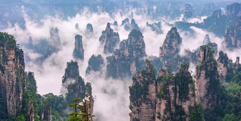 跨越山海对话文明——“中国·张家界”第三届世界遗产摄影大展于山水胜境中启幕(图13)