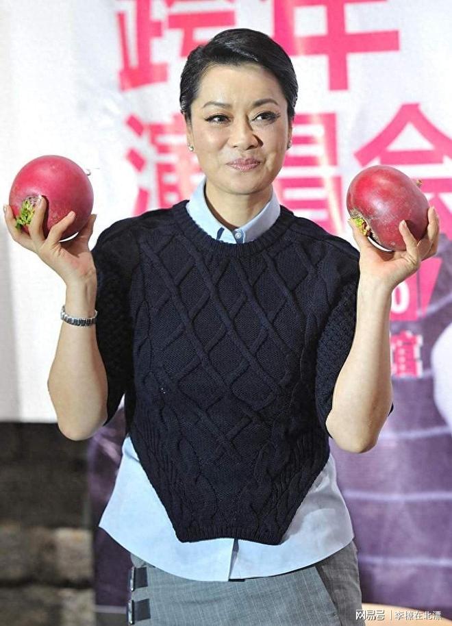 62岁毛阿敏放弃260亿遗产展现真正人间清醒生活态度(图18)