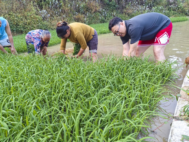 民大驻村干部杨凯：学以致用赋能乡村振兴躬耕笃行扎根贵州乡土(图1)