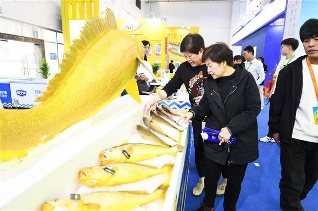 弘扬“闽东之光” 建设文化强市(图7)