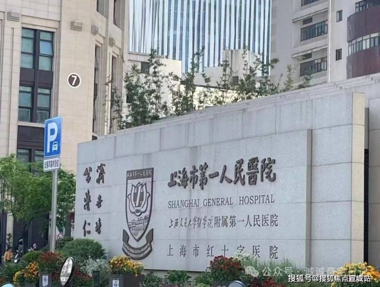 白金湾府邸营销中心官网│2026白金湾府邸售楼处-楼盘价格户型地址物业电话环境配套交房时间官方电话(图8)