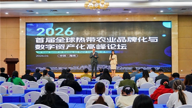 KAIYUN数字遗产管理新闻