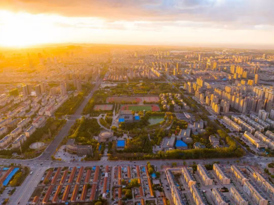 金价过山车山东“黄金双子星”为何淡定？他们的答案不是挖矿(图2)