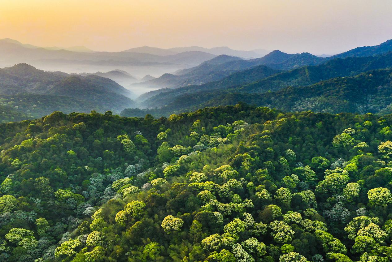 KAIYUN数字遗产管理新闻