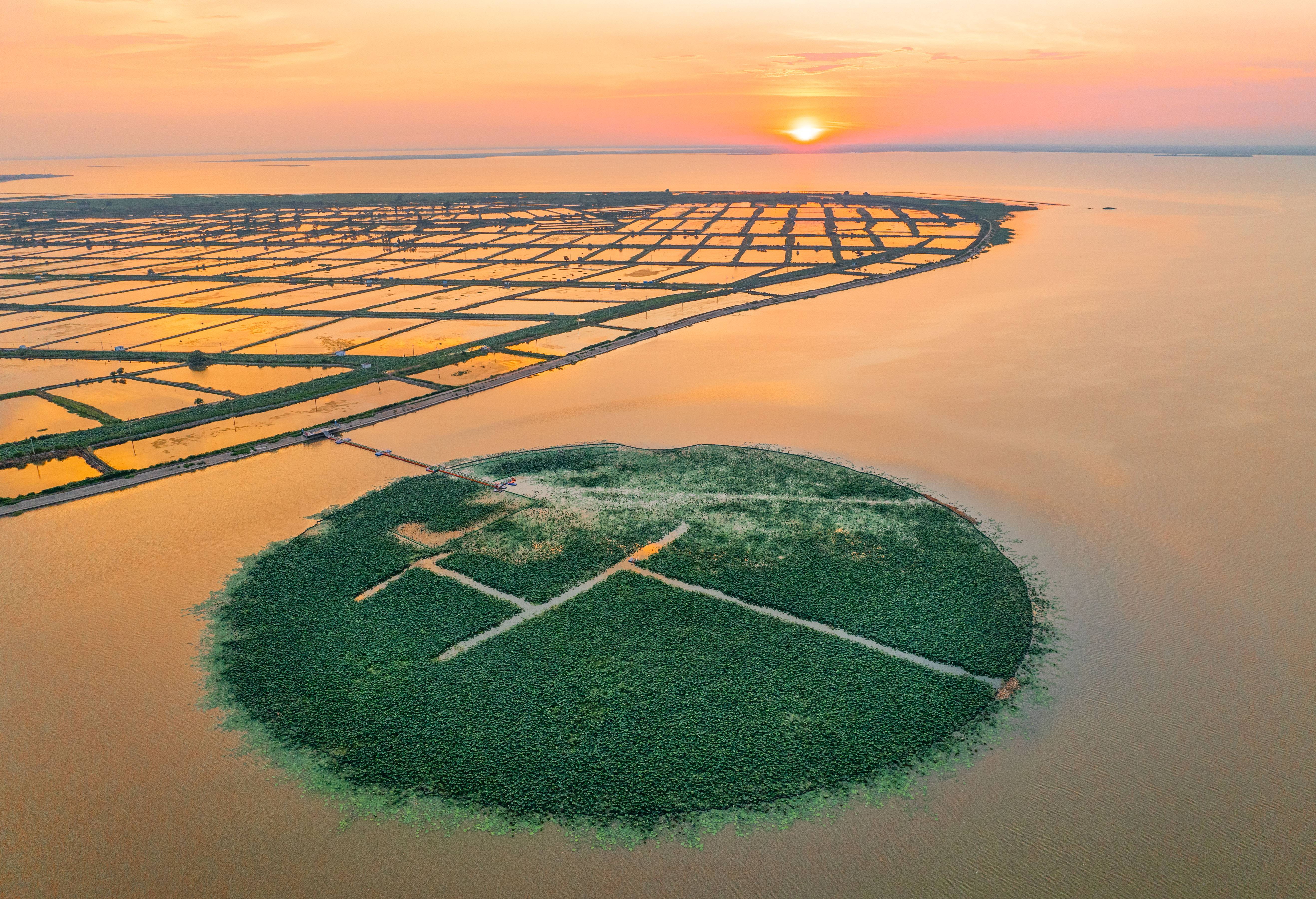 KAIYUN数字遗产管理新闻