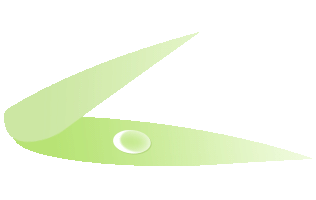 KAIYUN数字遗产管理新闻