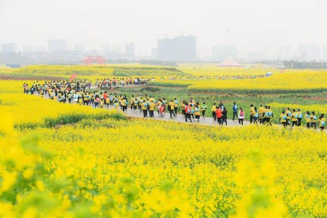 云南省委书记：欢迎大家旅居创业 生活追梦(图2)